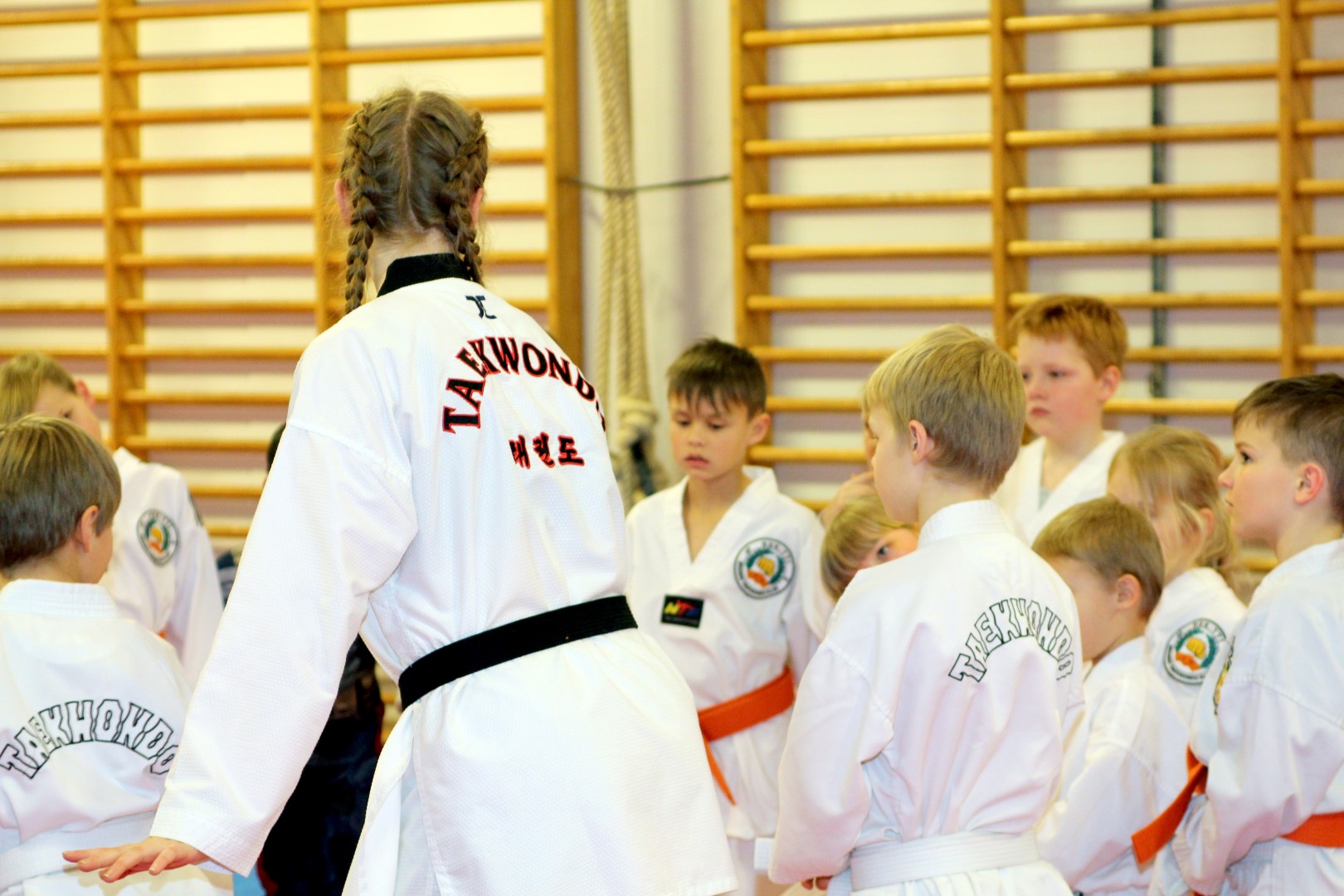 brande taekwondo brande taekwondo
